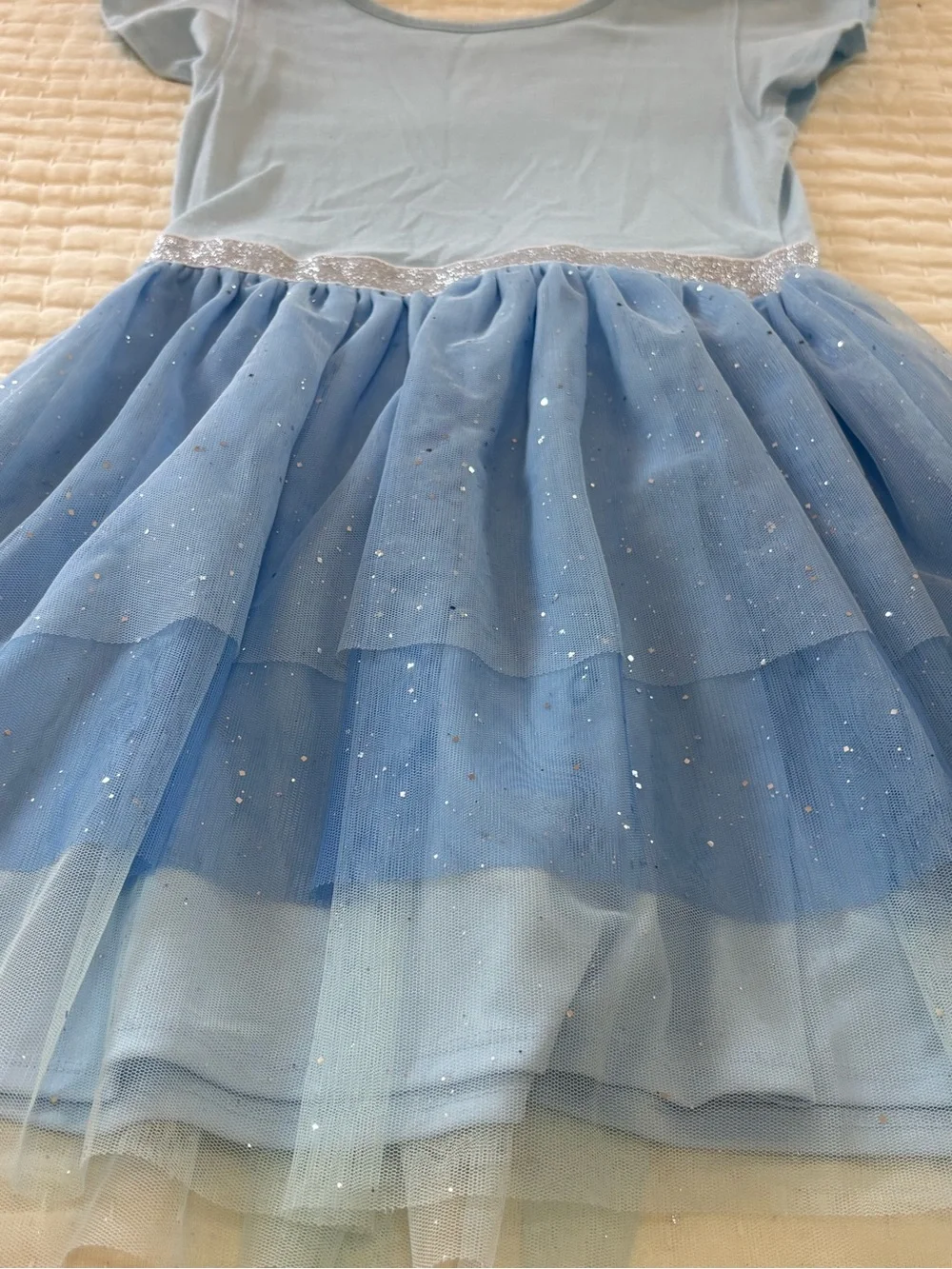 Light Blue Sparkle Tulle Dress for Kids - Elsa Graphic